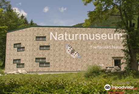Naturmuseum Salzkammergut - Treffpunkt Natur
