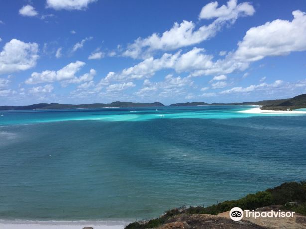 ハミルトン島のレビュー ハミルトン島のチケット ハミルトン島の割引 ハミルトン島の交通機関 所在地 営業時間 ハミルトン島周辺の観光スポット ホテル グルメ Trip Com