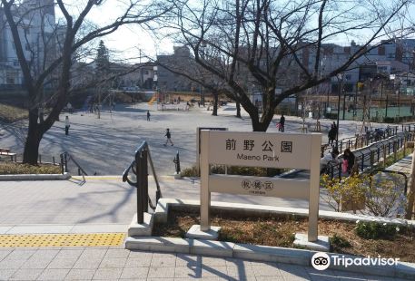 Maeno Park