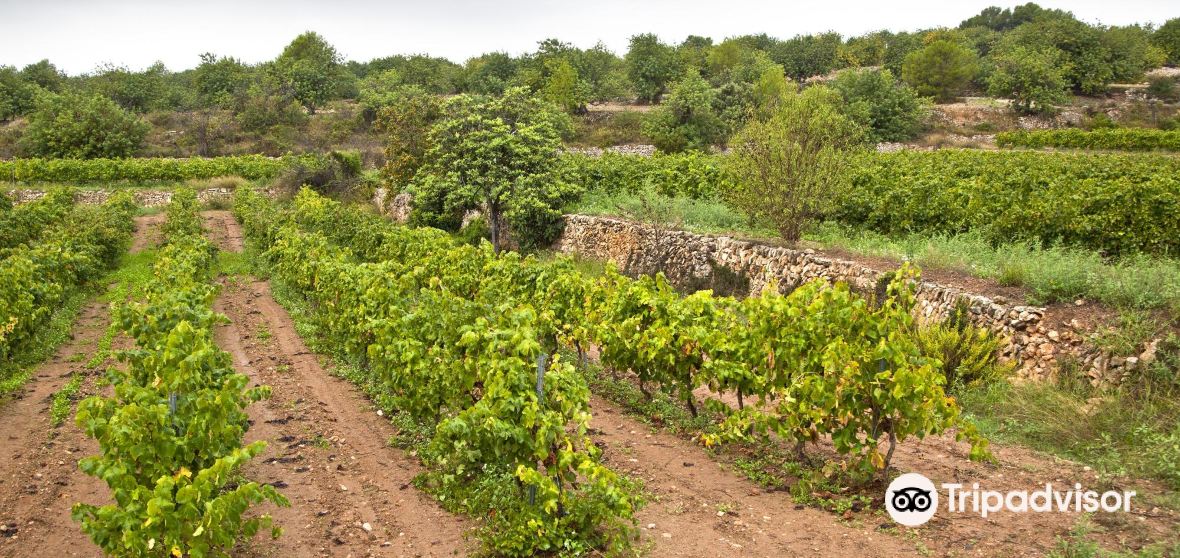 La Nou de Gaya Travel Guide 2023 Things to Do, What To Eat & Tips