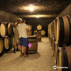 Domaine Pascal Mure