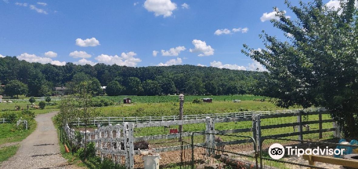 Boonton Township Travel Guide 2023 Things to Do, What To Eat & Tips