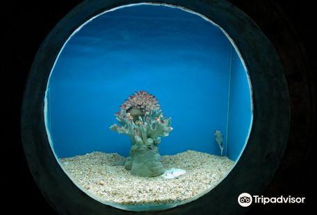 Huanzhutang World Coral and Shellfish Aquarium