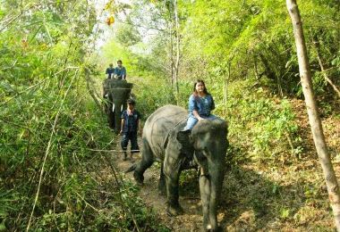Thai Elephant Home รูปภาพAttractionsยอดนิยม