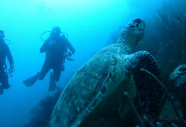 Poseidon Dive Center 熱門景點照片