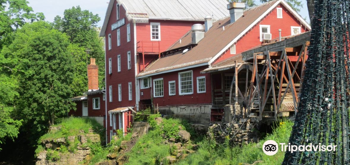 Cedarville Travel Guide 2024 Things to Do, What To Eat & Tips