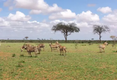 Agenzia Safari Vera Africa รูปภาพAttractionsยอดนิยม
