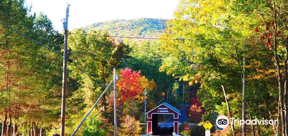 Swanzey Travel Guide 2023 Things to Do, What To Eat & Tips