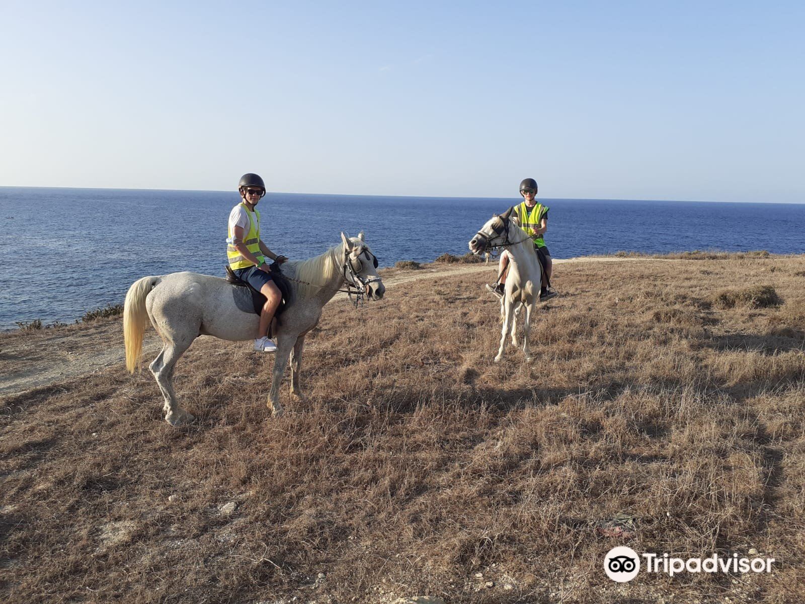 gozo stables horse riding