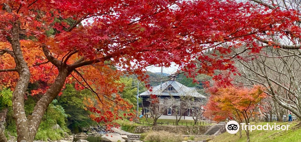 Satsuma Travel Guide 2023 Things to Do, What To Eat & Tips