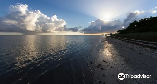 フロリダキーズ Coco Plum Beach 評判 案内 トリップドットコム