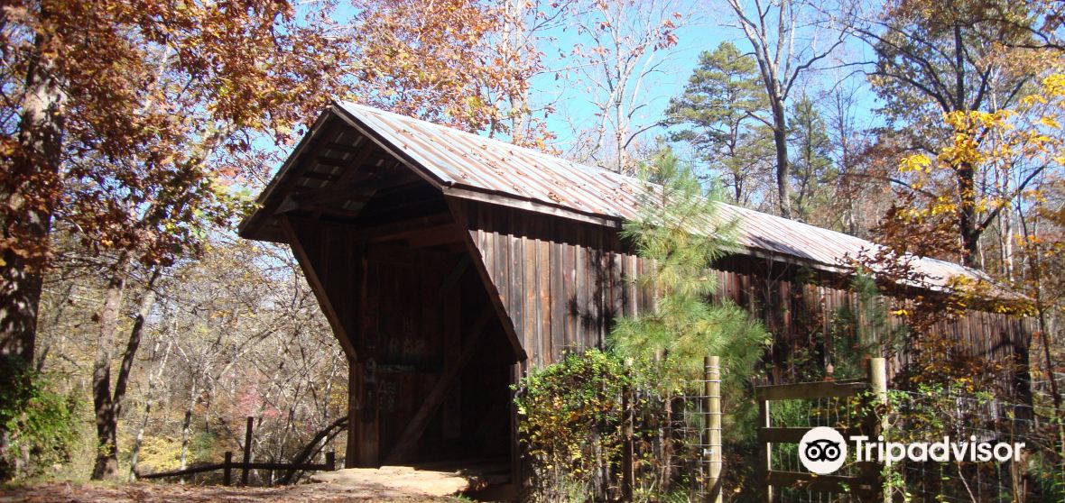 Claremont Travel Guide 2023 Things to Do, What To Eat & Tips