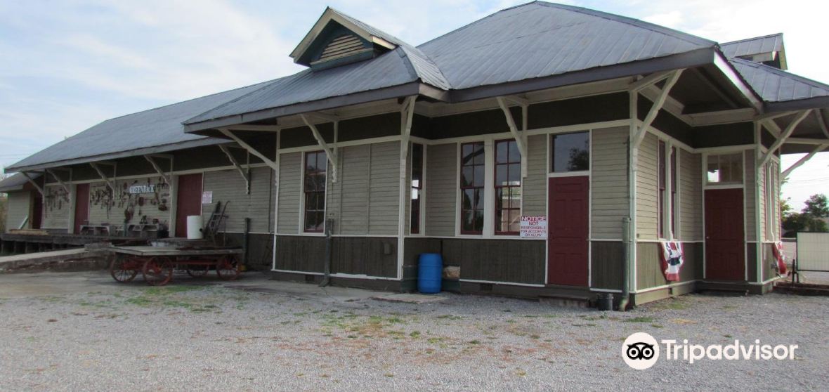 Greenback Travel Guide 2023 Things to Do, What To Eat & Tips