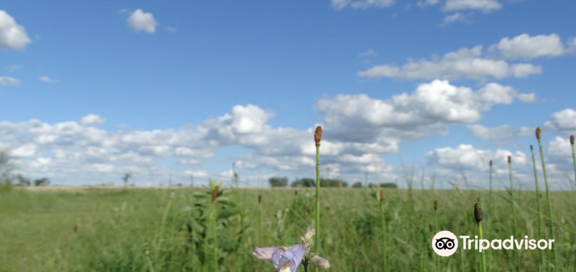 กิจกรรมน่าทำยอดนิยมในGlyndonประจำปี 2023 คู่มือท่องเที่ยวGlyndon