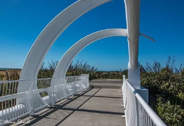 Te Rewa Rewa Bridge รูปภาพAttractionsยอดนิยม
