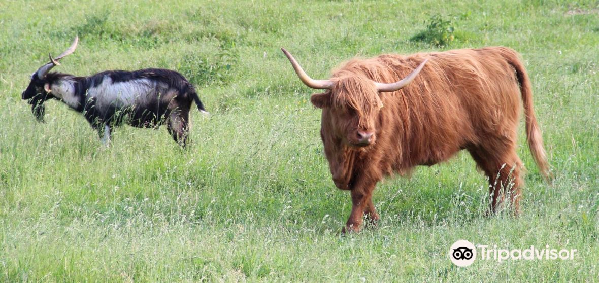 Stara Lehota Travel Guide 2023 Things to Do, What To Eat & Tips