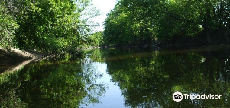 Huntingdon visual data 5