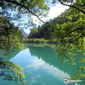 甘海子國家森林公園 Ganhaizi National Forest Park
