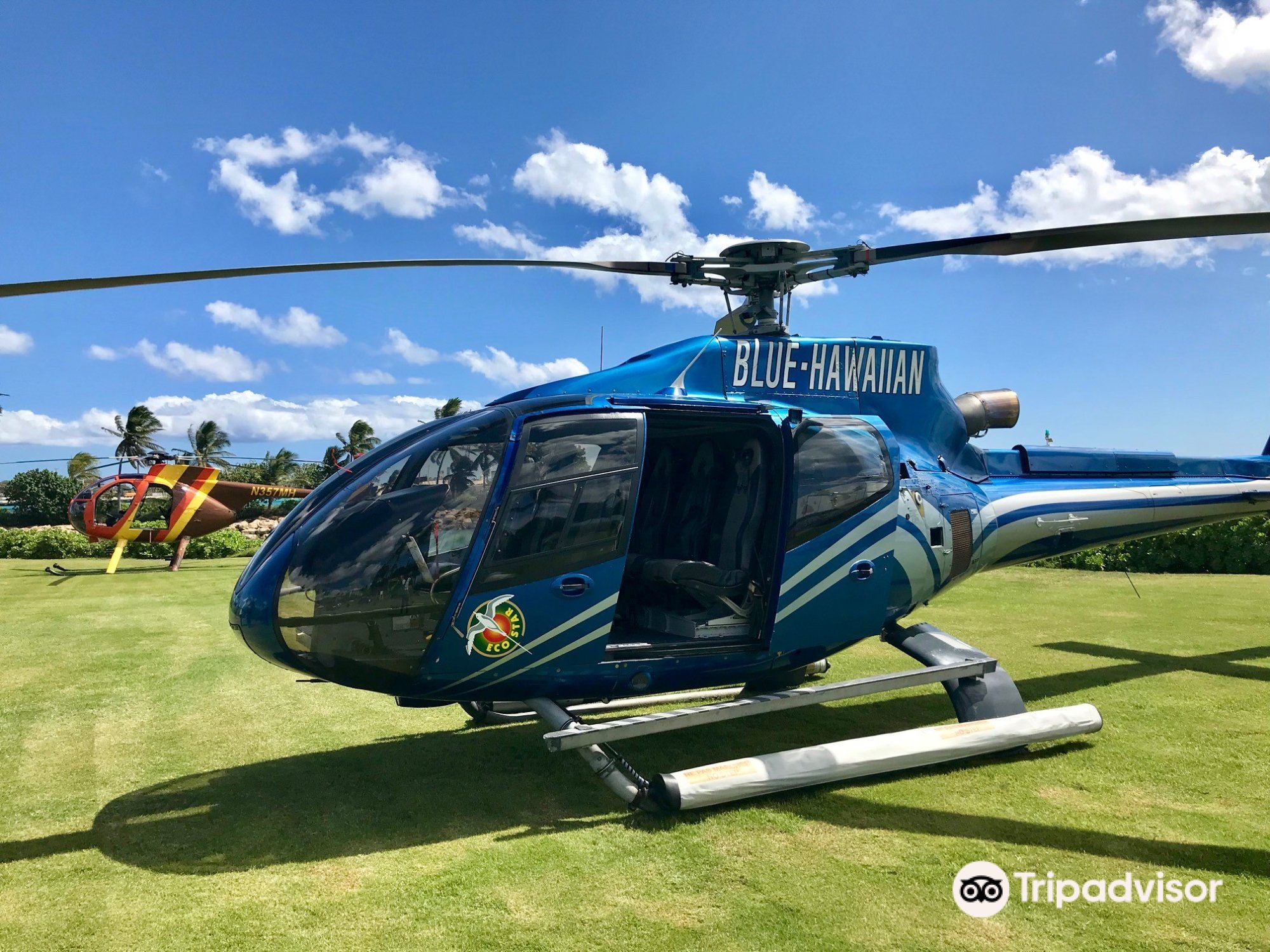 ブルー ハワイアン ヘリコプターのレビュー ブルー ハワイアン ヘリコプターのチケット ブルー ハワイアン ヘリコプターの割引 ブルー ハワイアン ヘリコプターの交通機関 所在地 営業時間 ブルー ハワイアン ヘリコプター周辺の観光スポット ホテル グルメ