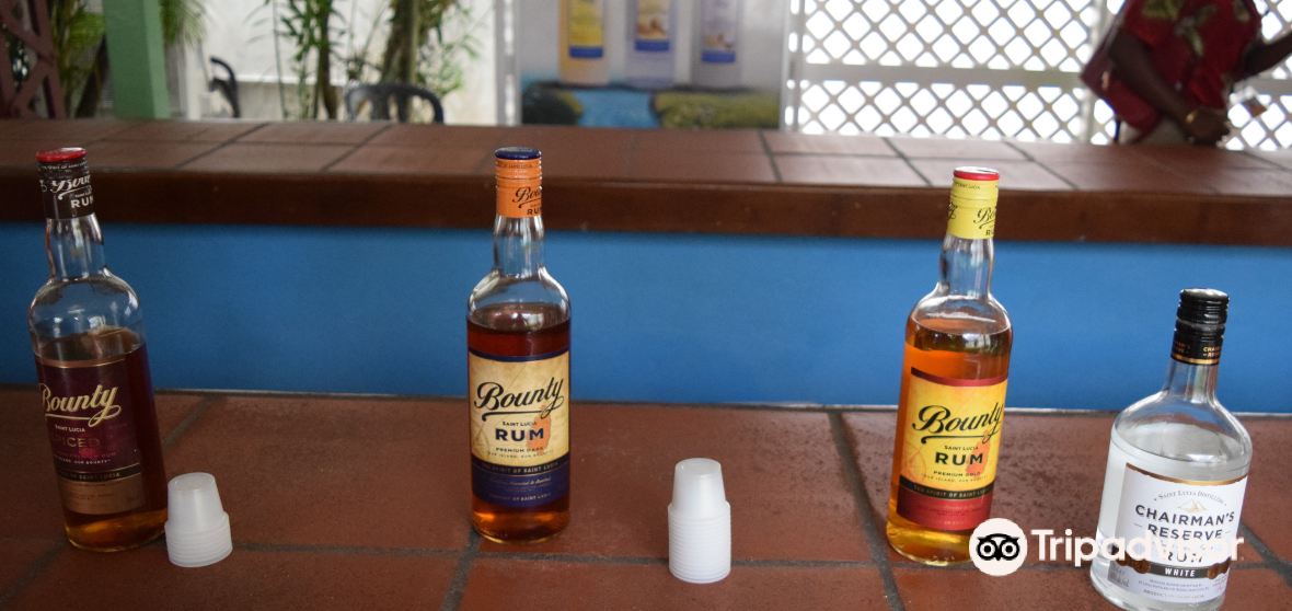 Roseau Travel Guide 2024 Things to Do, What To Eat & Tips