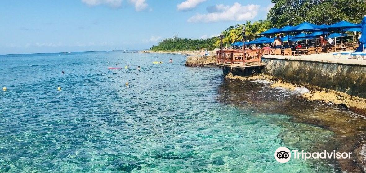 San Miguel de Cozumel Travel Guide 2023 - Things to Do, What To Eat & Tips  