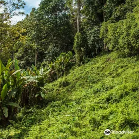 Getaway Trekking