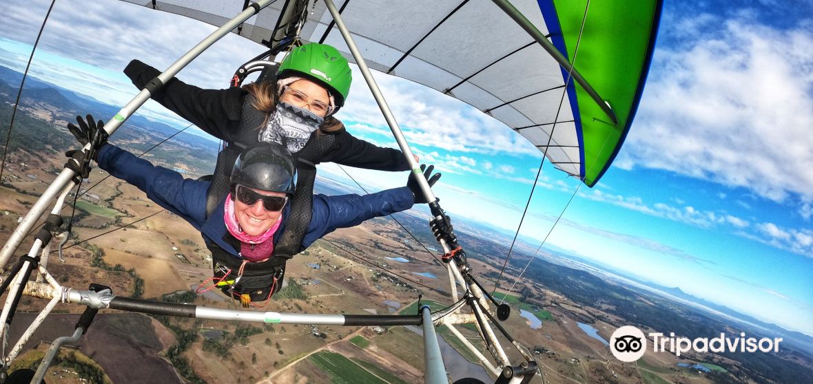 Mount Tamborine Travel Guide 2023 Things to Do, What To Eat & Tips