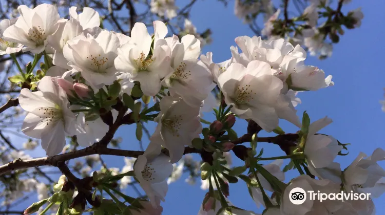 宇土 立岡自然公園 評判 案内 トリップドットコム