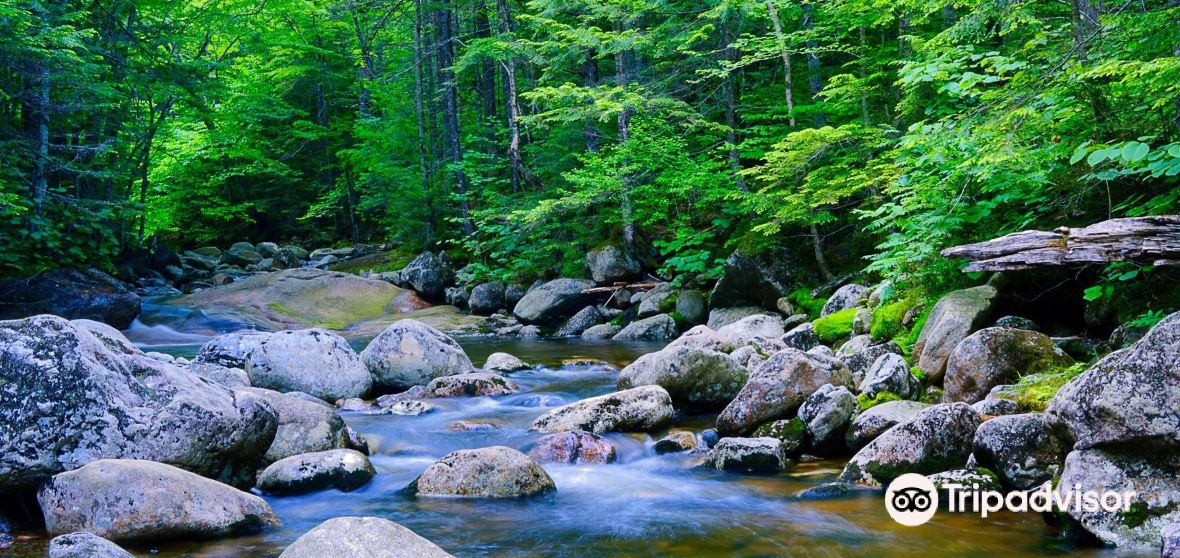 Franconia 2022 Top Things to Do Franconia Travel Guides Top Franconia Attraction