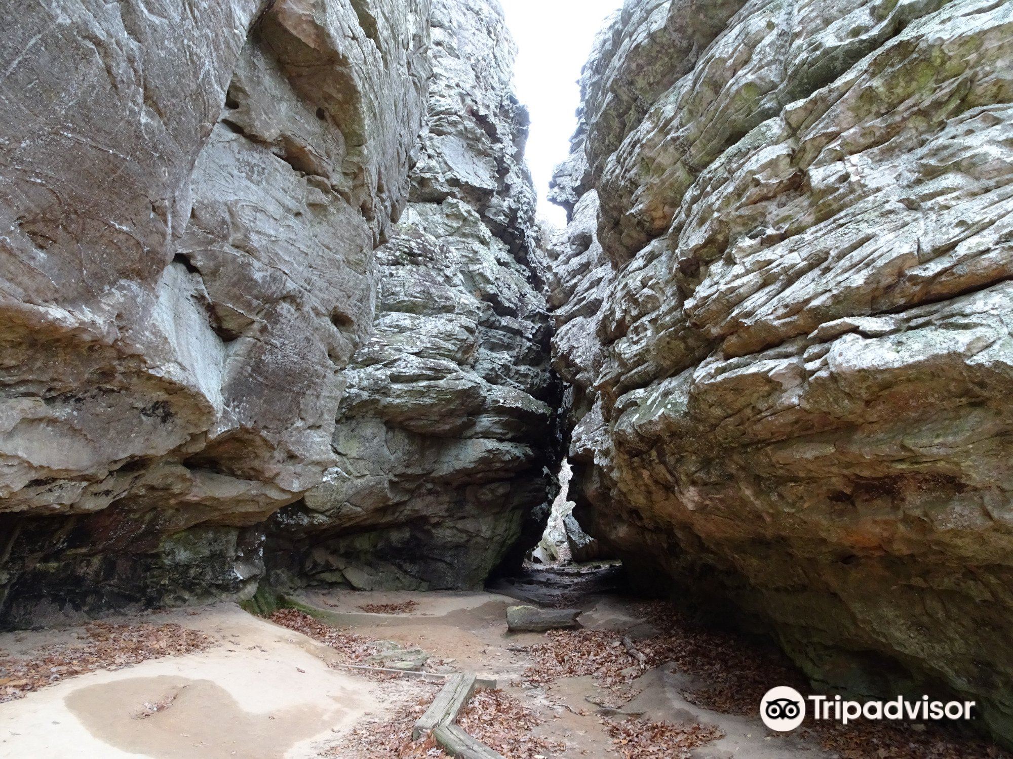 tripadvisor petit jean state park