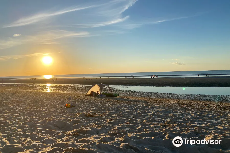 Crosby Landing Beach 명소 리뷰 - Crosby Landing Beach 입장권 - Crosby Landing Beach 할인 - Crosby Landing Beach 교통, 주소... 