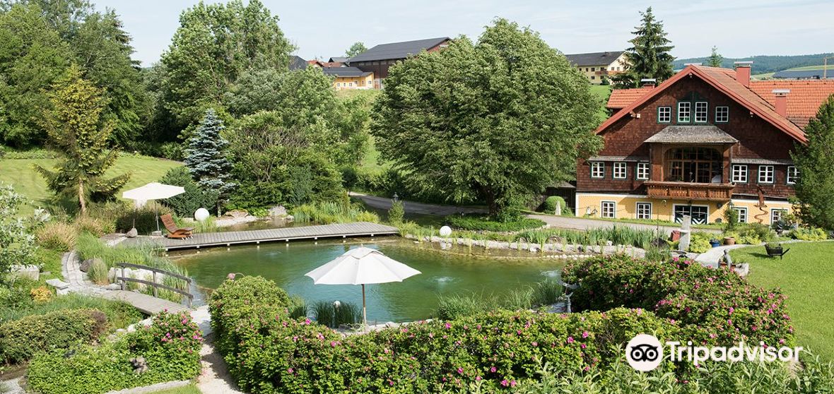 กิจกรรมน่าทำยอดนิยมในPondorfประจำปี 2022 คู่มือท่องเที่ยวPondorf