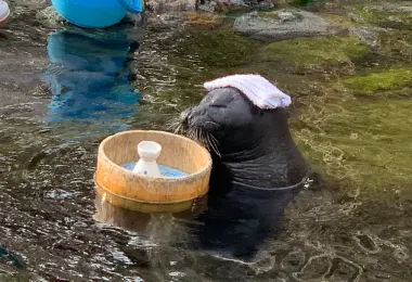 箱根園水族館 観光スポットの人気写真