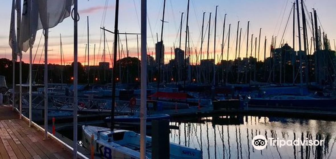 Darling Point Travel Guide 2023 Things to Do, What To Eat & Tips