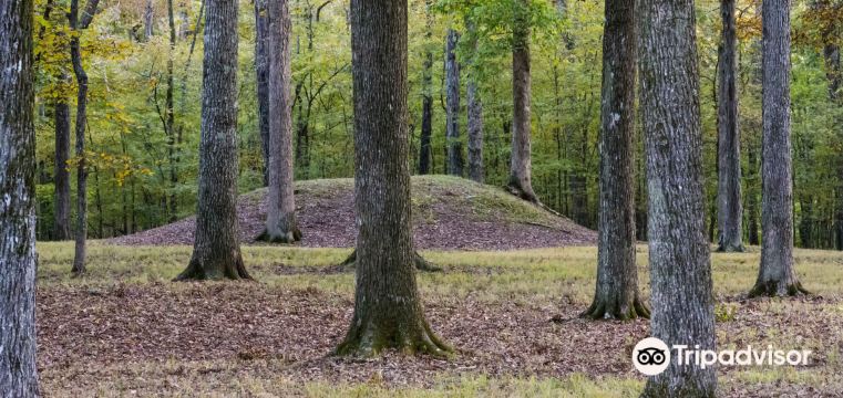 【2023年】テネシー州の人気観光スポット・旅行ガイド・グルメ情報満載
