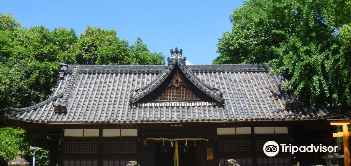 Habikino 2023 Top Things to Do Habikino Travel Guides Top