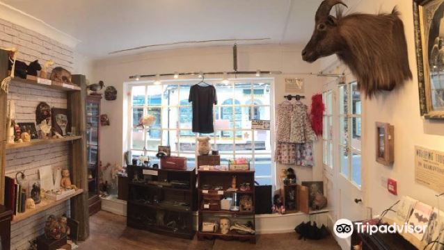 シャンブルズの写真 ヨークの観光スポットの写真 Tripメモリー シャンブルズの写真 ヨークの観光スポットの写真 Tripメモリー