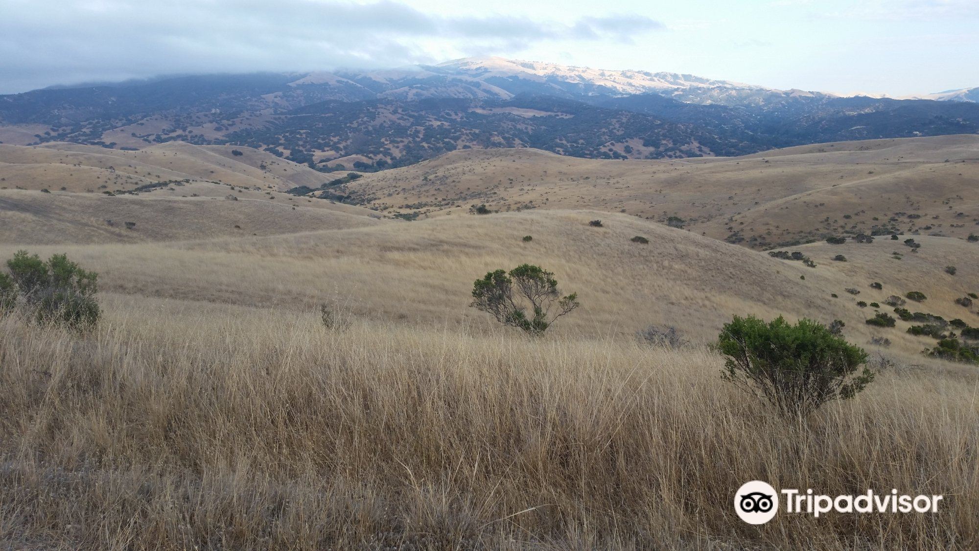 Fort Ord National Monument - Badger Hills Trailhead Events