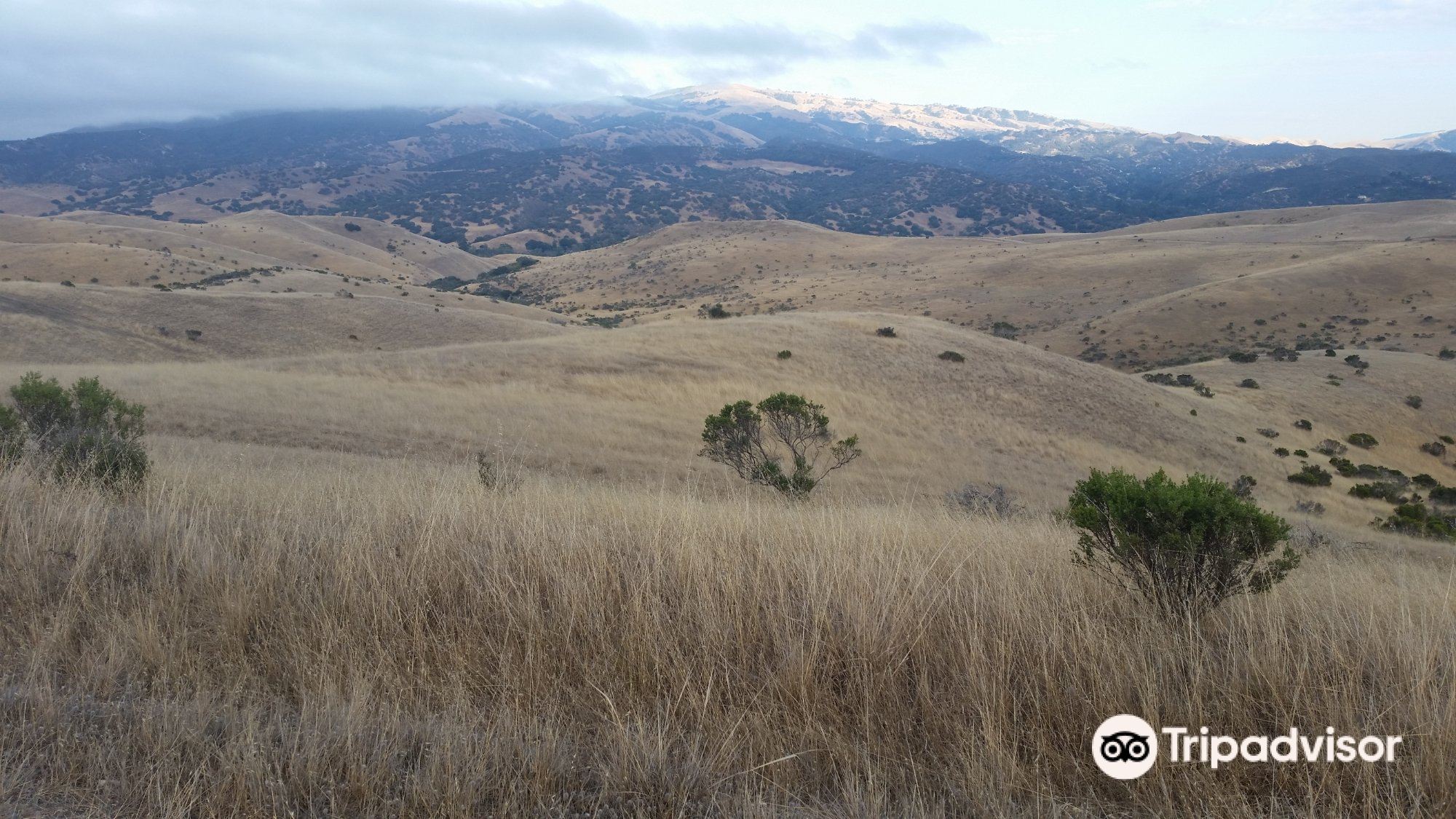 Fort Ord National Monument - Badger Hills Trailhead Hours