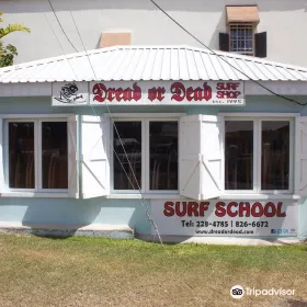 Dread or Dead Surf Shop