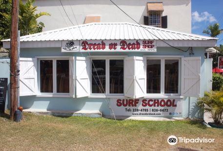 Dread or Dead Surf Shop