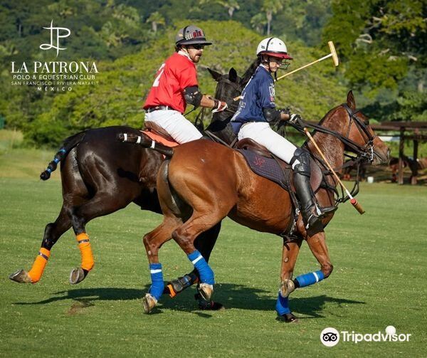 La Patrona Polo & Equestrian Club attraction reviews - La Patrona Polo &  Equestrian Club tickets - La Patrona Polo & Equestrian Club discounts - La  Patrona Polo & Equestrian Club transportation,