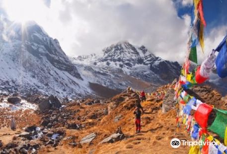 Creative Adventure Nepal