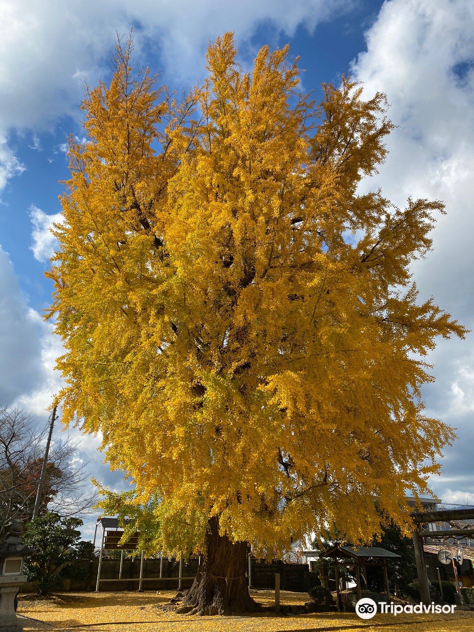 丹生酒殿神社 鎌八幡宮のレビュー 丹生酒殿神社 鎌八幡宮のチケット 丹生酒殿神社 鎌八幡宮の割引 丹生酒殿神社 鎌八幡宮の交通機関 所在地 営業時間 丹生酒殿神社 鎌八幡宮周辺の観光スポット ホテル グルメ Trip Com