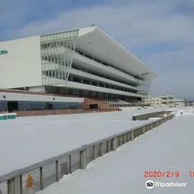 札幌競馬場