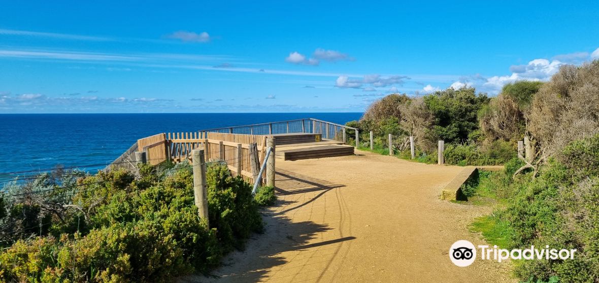 Jan Juc Travel Guide 2023 Things to Do, What To Eat & Tips