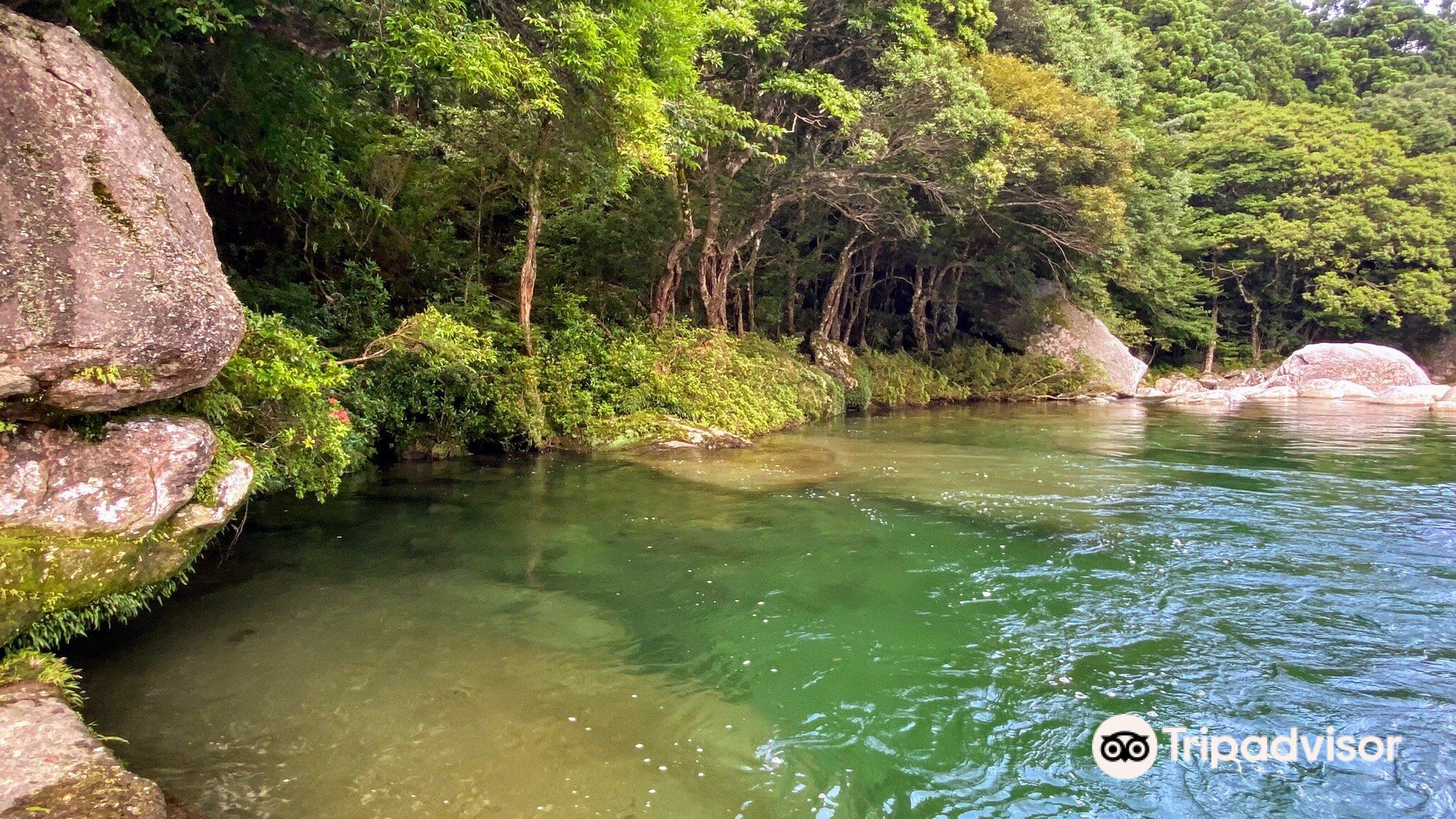 横河渓谷のレビュー 横河渓谷のチケット 横河渓谷の割引 横河渓谷の交通機関 所在地 営業時間 横河渓谷周辺の観光スポット ホテル グルメ Trip Com