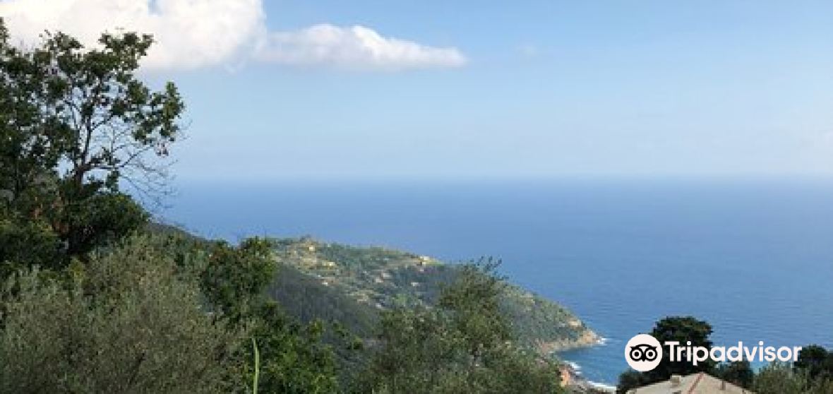 10 Best Things To Do In Bonassola Province Of La Spezia Bonassola Travel Guides 21 Trip Com