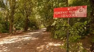 Rezerwat Przyrody Lisia Gora