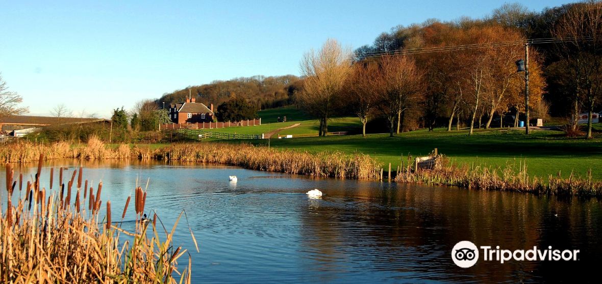 Foston and Scropton Travel Guide 2023 Things to Do, What To Eat